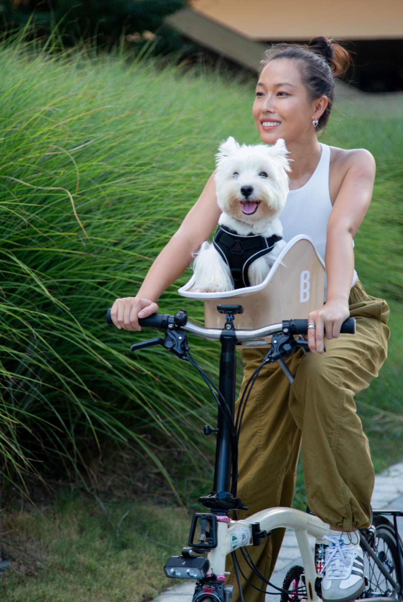 canine copilot